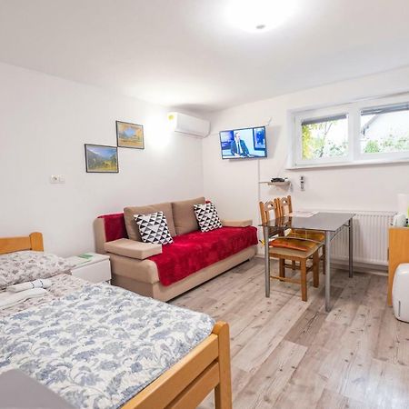 Newly Renovated Studio With Air Conditioner & Free Parking Любляна Экстерьер фото